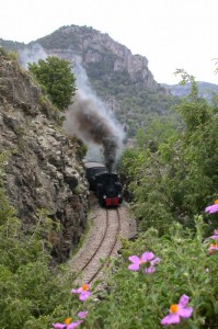 Trenino “verde” fra i nostri monti