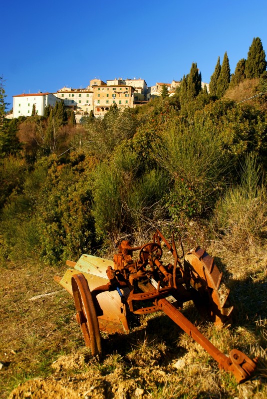 ''Circondato dai boschi'' - Monteverdi Marittimo