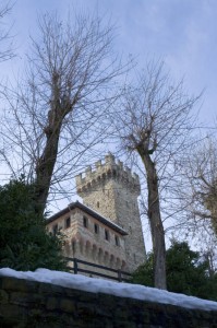 Il castello, lato Nord.