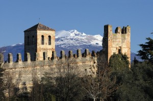 Alzando lo sguardo sulle torri