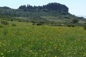 Primavera a Su Casteddu