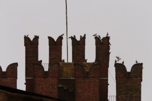 Due chiacchiere al bar…… o quasi!