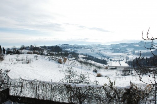 Frassinello Monferrato - dopo la nevicata