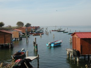 Allevamenti di cozze