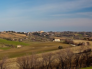 Ostra e le sue colline