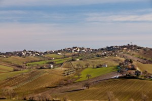 Olio, miele … e vino!