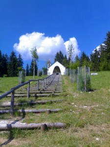 …. a Passo Vezzena  !!