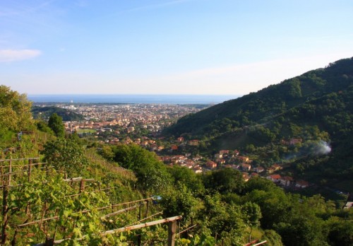 Carrara - Carrara Carrara - Carrara