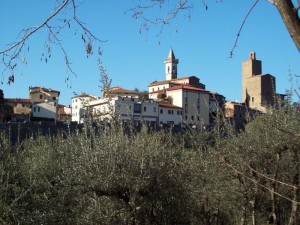 Vinci oltre gli olivi