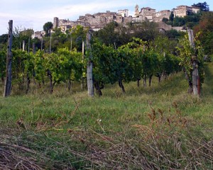 Castiglione in Teverina (Viterbo)