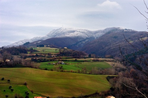 Rotella - q6 Rotella - q6