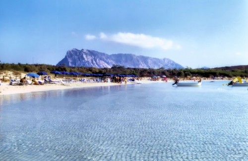San Teodoro - Cala Brandinchi, sullo sfondo l'isola della tavolara San Teodoro - Cala Brandinchi, sullo sfondo l'isola della tavolara