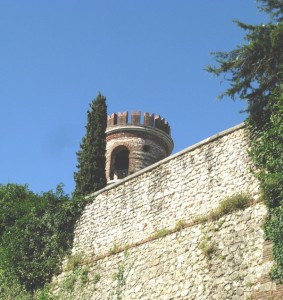 Mi riconoscete ..vista da questo lato??