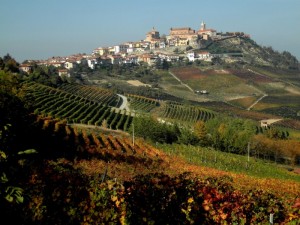 la Morra…i suoi vigneti…