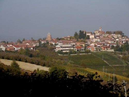 Verduno - la collina in verde.....autunnale Verduno - la collina in verde.....autunnale