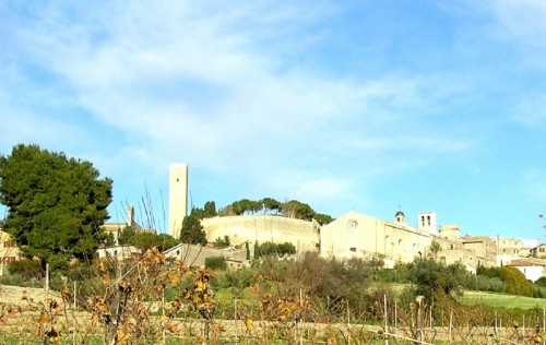 Tarquinia - panorama oltre i vigneti Tarquinia - panorama oltre i vigneti