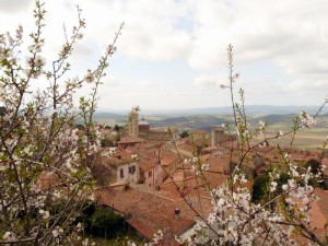 MASSA MARITTIMA IN FIORE