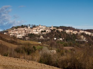 Dov’è il mandorlo?