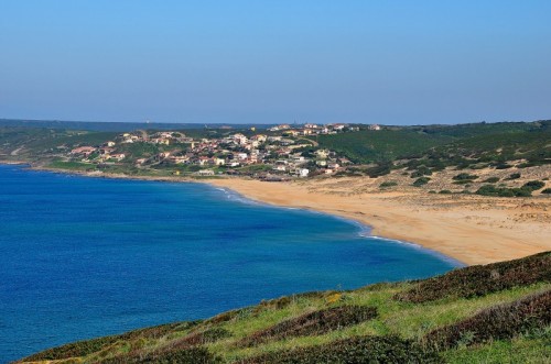 Arbus - Pistis Arbus - Pistis