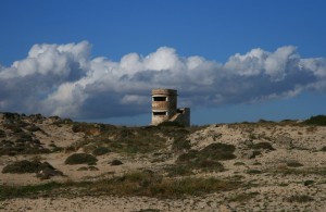 avvistamenti dalle dune