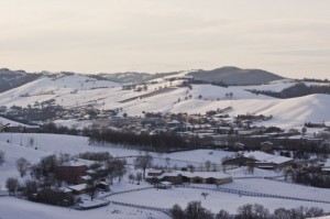 panorama albinea