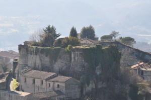 senza edera sarei più bella!