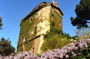 la torre di Pratica di Mare avvinta dalla primavera