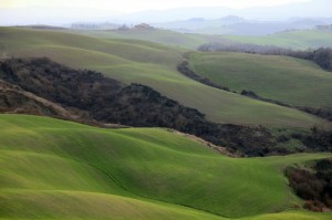 crete senesi 10