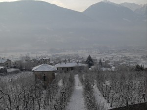 il palazzetto Besta e la Colombaia
