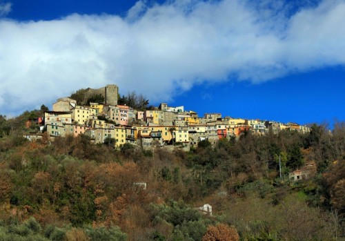 Arcola - Trebiano Arcola - Trebiano