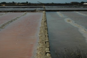 Le saline di Trapani 07