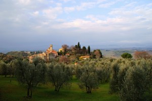 Un paese tra gli ulivi