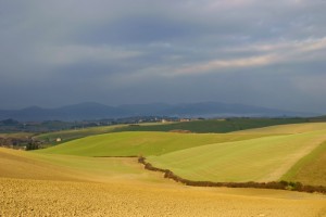 Orciano e le Colline Pisane #1