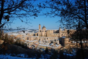 Urbino-8