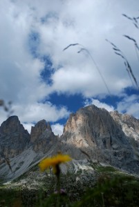 oh, bella margheritina, così sfuocata, non rubarai la scena a Sassolungo