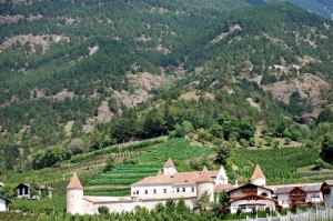 Castel Coldrano - un castello tra i meleti
