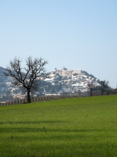 Arcevia - Sotto la neve cresce il grano