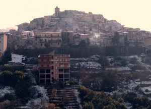 Non potevo chiederne l’abbattimento ……