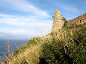 Torre Cavallo, guardiana della costa viola.