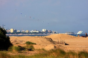 tutti in fila per un tuffo