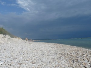 Una giornata uggiosa