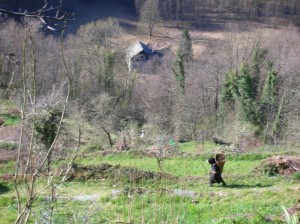 si e’ fermato il tempo?