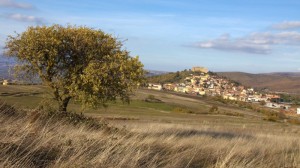 Lagopesole frazione di Avigliano