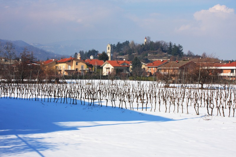 ''con i suoi 4 campanili'' - Bricherasio