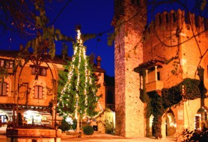 Notturno in Piazza del Biscione