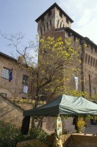 Il castello di Pozzolo Formigaro, lato Sud- Est.