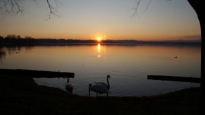 Lago dei cigni