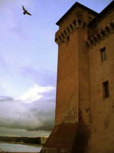 Apertura alare e mentale