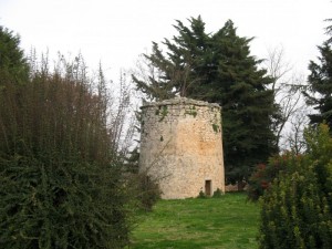 Timido, si nasconde tra i fiori di fronte al Castello di Marchione