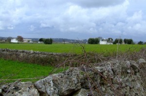 Valle d’Itria 1